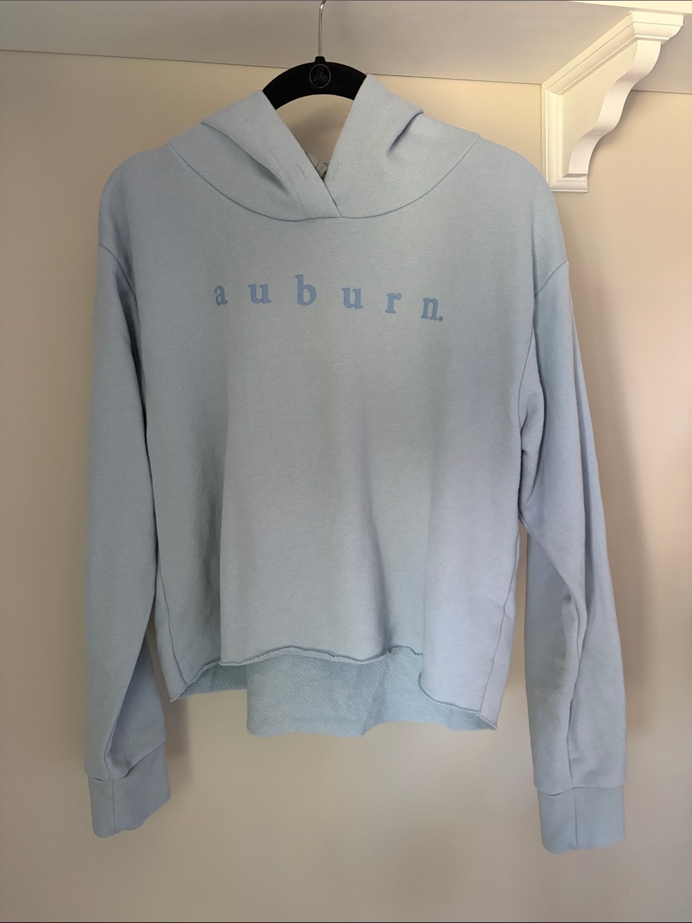 Next Level Apparel Light Blue Women's Hoodie Sweater